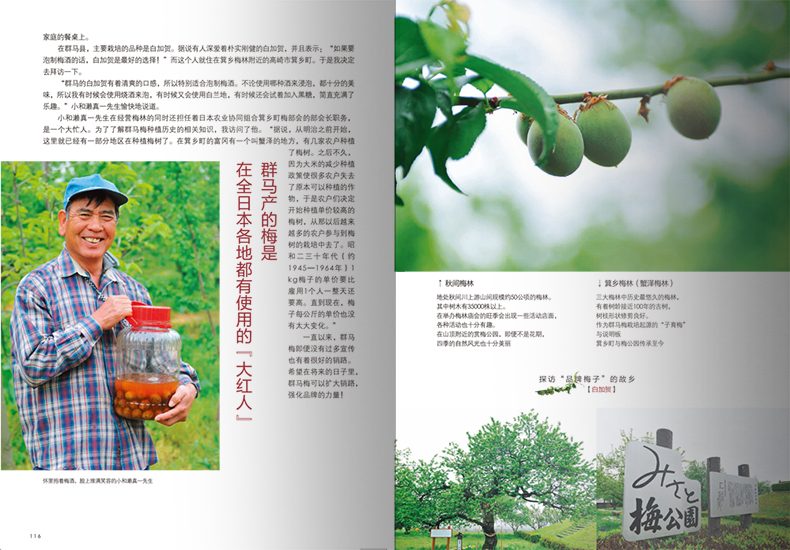 [正版]梅酒的基础知识 梅子品种 梅酒的历史小知识 下酒菜搭配 自制梅酒做法 美食饮品知识 酒类爱好者 饮食文化书籍高清大图