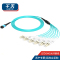 千天(QANTOP)光纤跳线OM3万兆多模40G光模块用集束光纤线1分12芯MPO-LC QT-GXTX472