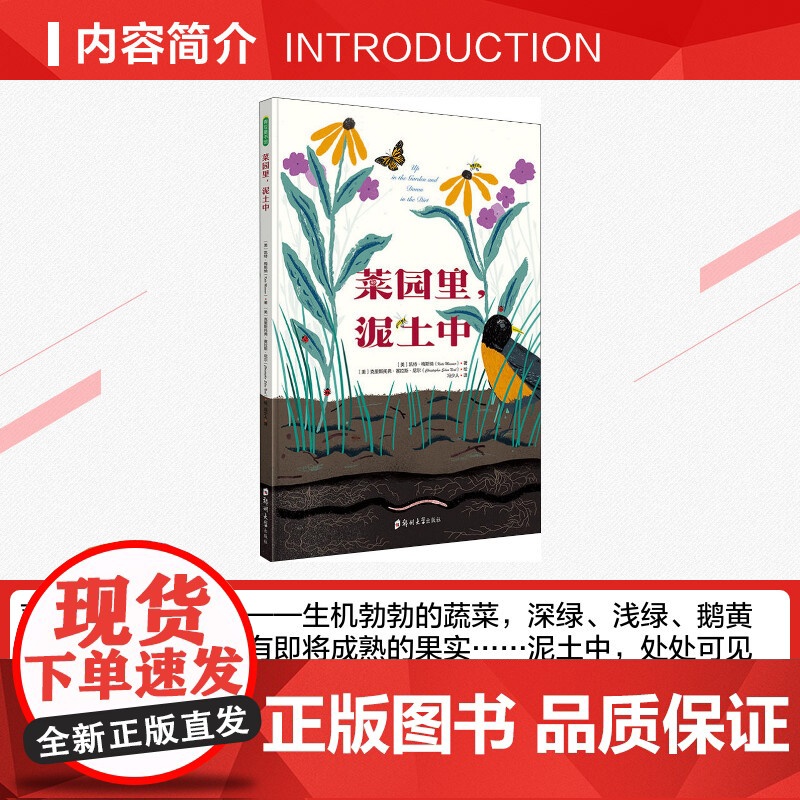 菜园里,泥土中 凯特梅斯纳著 儿童文学小学生课外阅读书籍正版6-7-8-9-10岁一年级二年级三年级四年级寒暑假课外书知高清大图