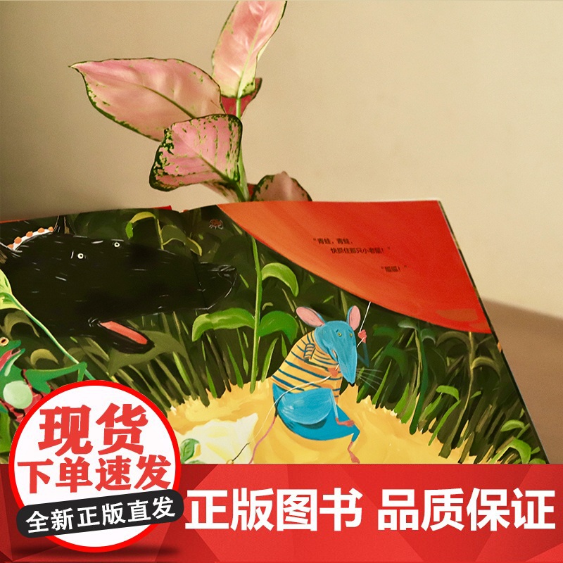 抓住那只小老鼠精装绘本图画书3-6岁亲子共读紧急行动快来营救飞天小老鼠有朋友的牵挂我们便不再孤单魔法象正版童书高清大图