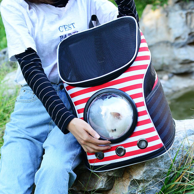 蓝猫包太空宠物舱包外出便携狗狗装猫笼子双肩猫袋用品书包猫咪背包