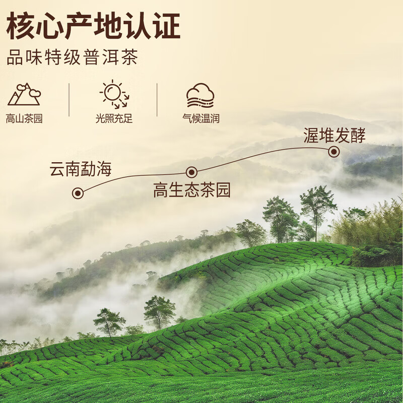 忆江南 普洱茶茶叶礼盒125g龙跃凤鸣中号——普洱茶 [新老版随机发]高清大图