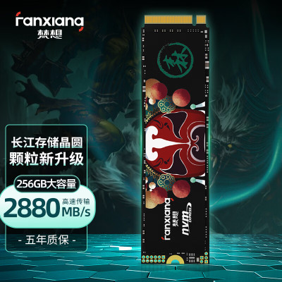 梵想2TB SSD固态硬盘S500PRO 精选长江存储晶圆 国产TLC颗粒 M.2接口(NVMe协议)