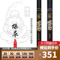 本汀(BenTing)钓竿轻硬6H19调8H巨物竿鲟鱼竿渔具垂钓用品碳素材质台钓竿