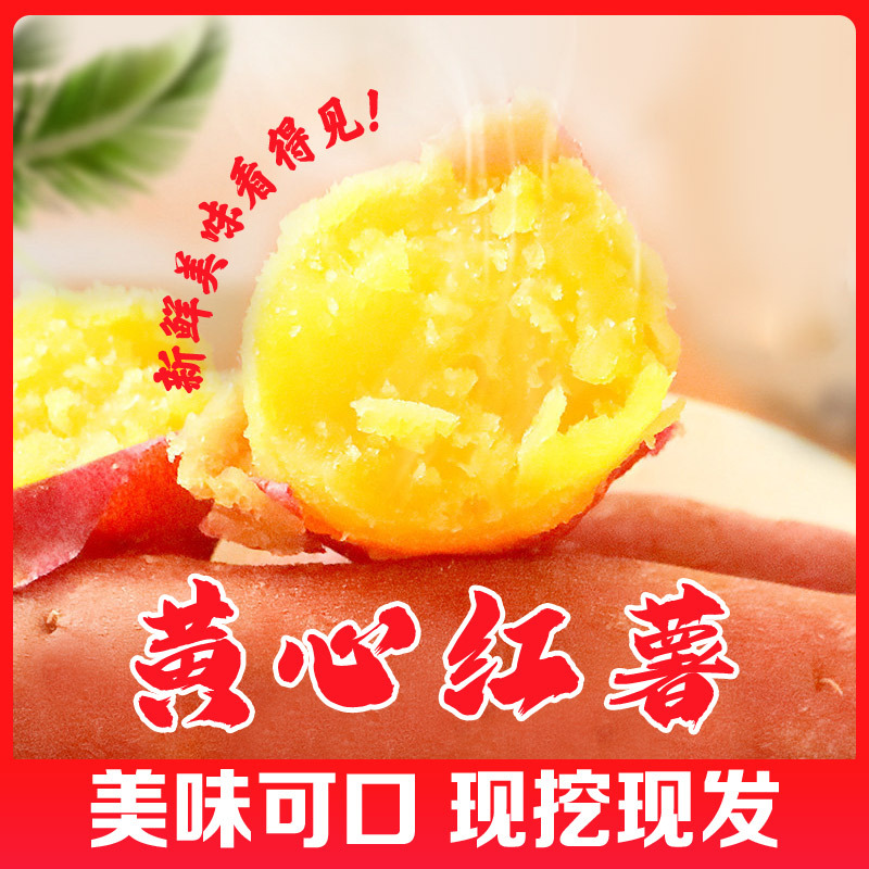 龙九蜜薯新鲜沙地糖心地瓜软糯香甜蜜薯 龙九蜜薯 5斤中大果