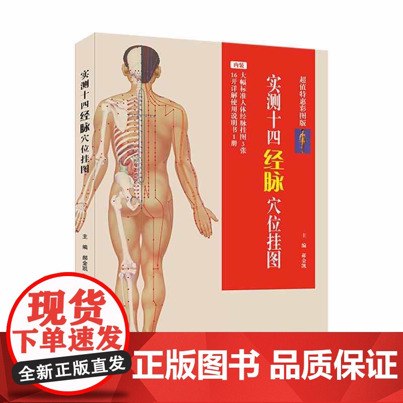 实测十四经脉挂图:大幅标准人体经脉挂图3张+16开详解使用说明书1册(特惠彩图版)高清大图