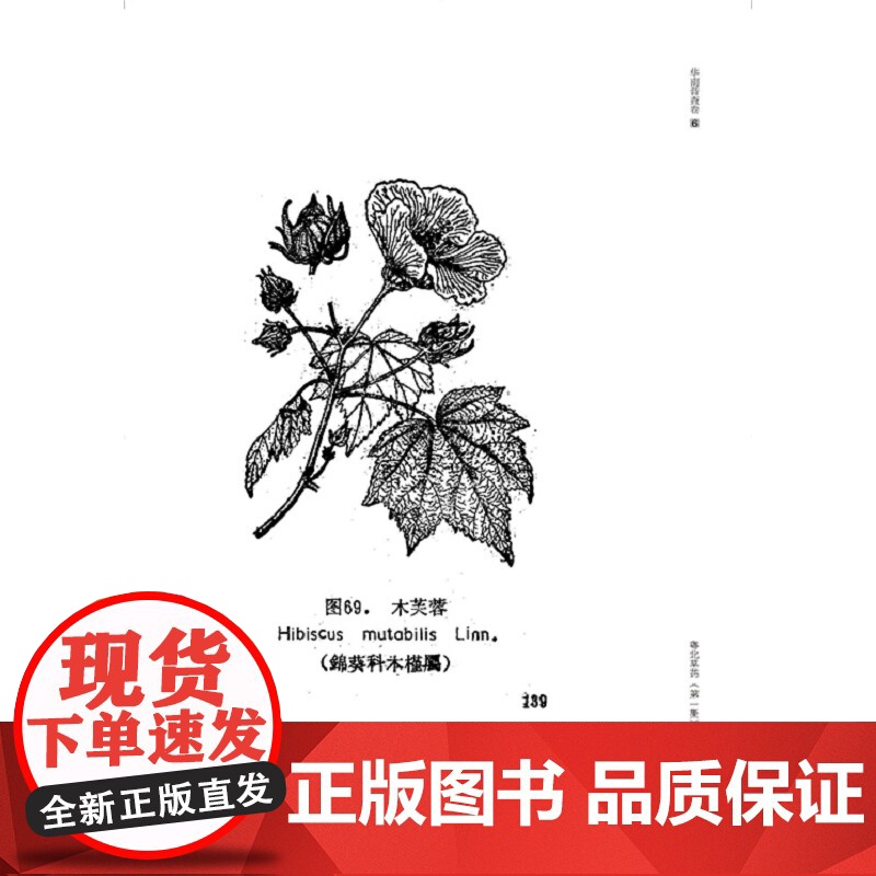 新中国地方中草药文献研究 1949-1979年 华南普查卷全11册 北京科学技术 拍下之前联系在线客服可享高清大图