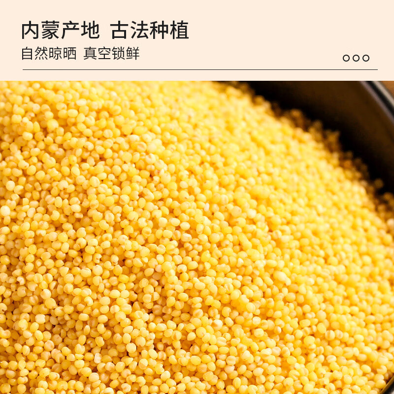 裕道府金苗黄小米月子米小米粥杂粮真空装粥米伴侣 500g*1高清大图