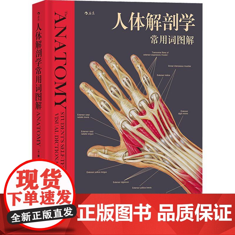 【精装】人体解剖学常用词图解 人体解剖学入门指导 解剖学术语释义词典图解涂色练习医学书籍奈特人体解剖学彩色图谱书籍