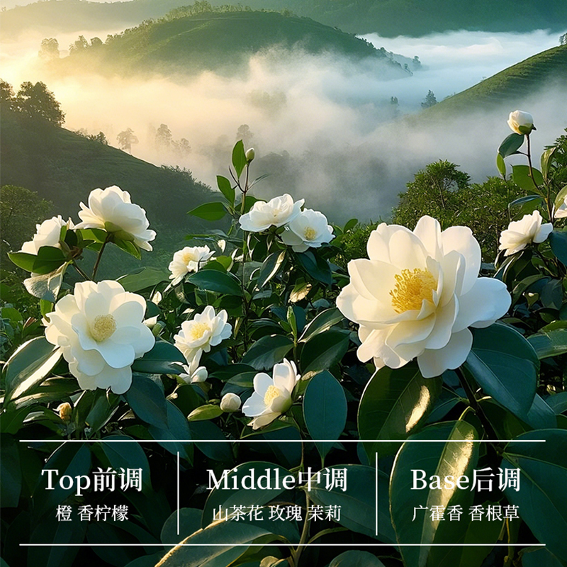 阿道夫 山海经茶麸冰护理专研洗发水祛屑止痒350ml高清大图