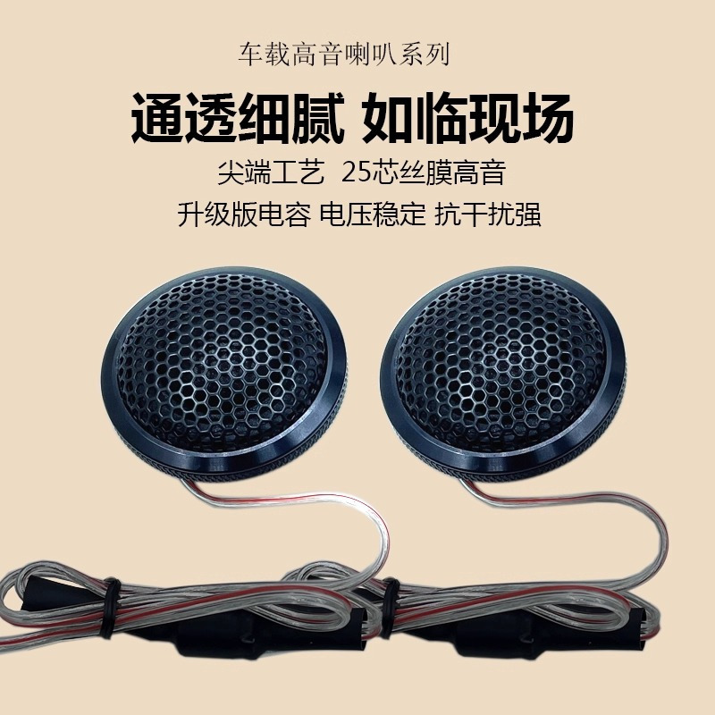 舜天龙兴汽车高音头一对小音响车门改装通用高清大图