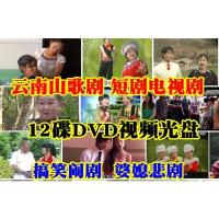 视频光盘碟片小矮人搞笑农村悲惨可怜小品云南山歌剧电视剧 12DVD