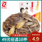 真心瓜子 106g*1袋装红枣味焦糖葵花籽批发零食炒货XT