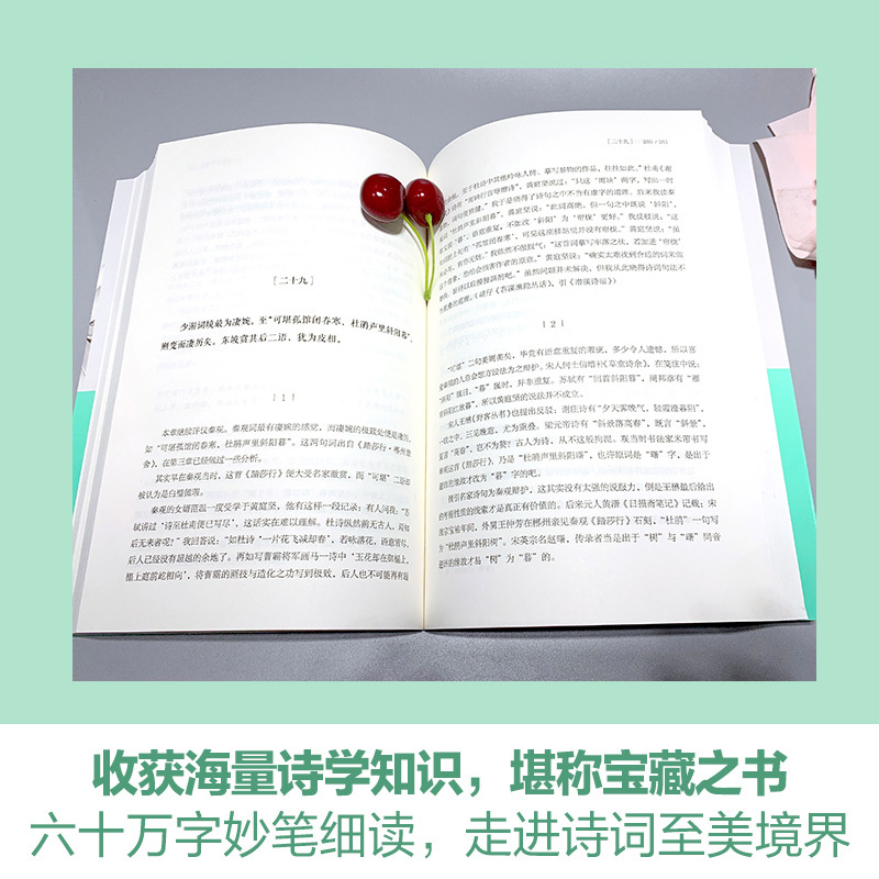 人间词话(精读) [正版]人间词话精读苏缨王国维诗经融和中国传统诗论西方美学理论解读文学批评注释赏析中国古诗词书籍搭