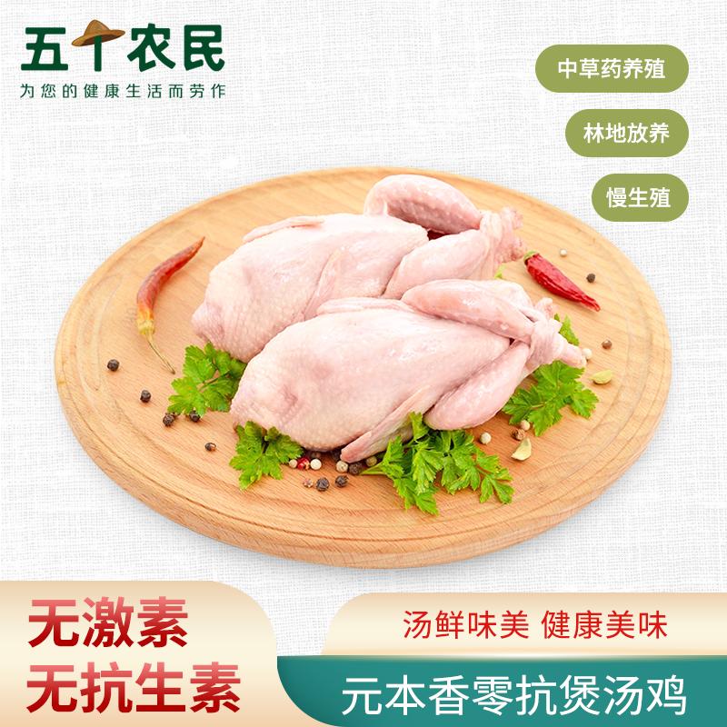 [五个农民]零抗煲汤鸡散养健康美味无激素抗生素新鲜鸡肉净重3斤左右