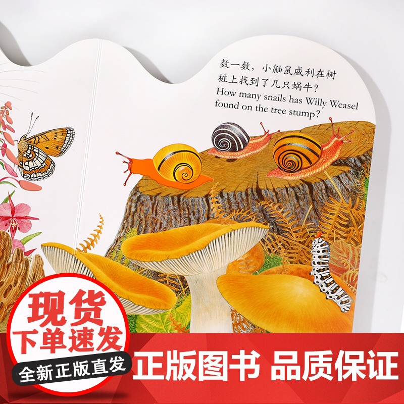 亮丽精美触摸书小猫头鹰奥奇小兔比利0-3岁幼儿早教宝宝启蒙故事书儿童婴儿不易撕烂触感刺激感官认知书 正版书籍高清大图