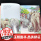 新版第28册笑猫日记大象的远方单本杨红樱系列书小学生三四五六年级课外阅读书籍7-8-9-12少儿童读物3456年级校园小