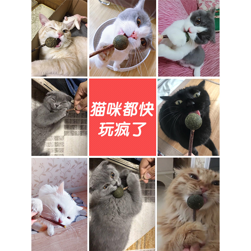 (2件9折)猫零食猫薄荷球棒棒糖猫咪用品猫糖逗猫玩具逗猫棒木天蓼磨牙棒