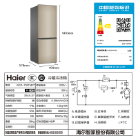 Haier/海尔 178升双开门两门小型家用官方租房宿舍小冰箱