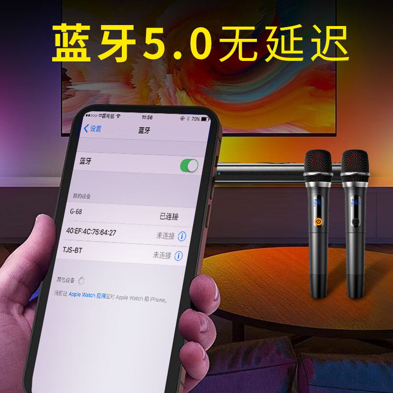 纽曼(Newsmy)回音壁 G68高清大图