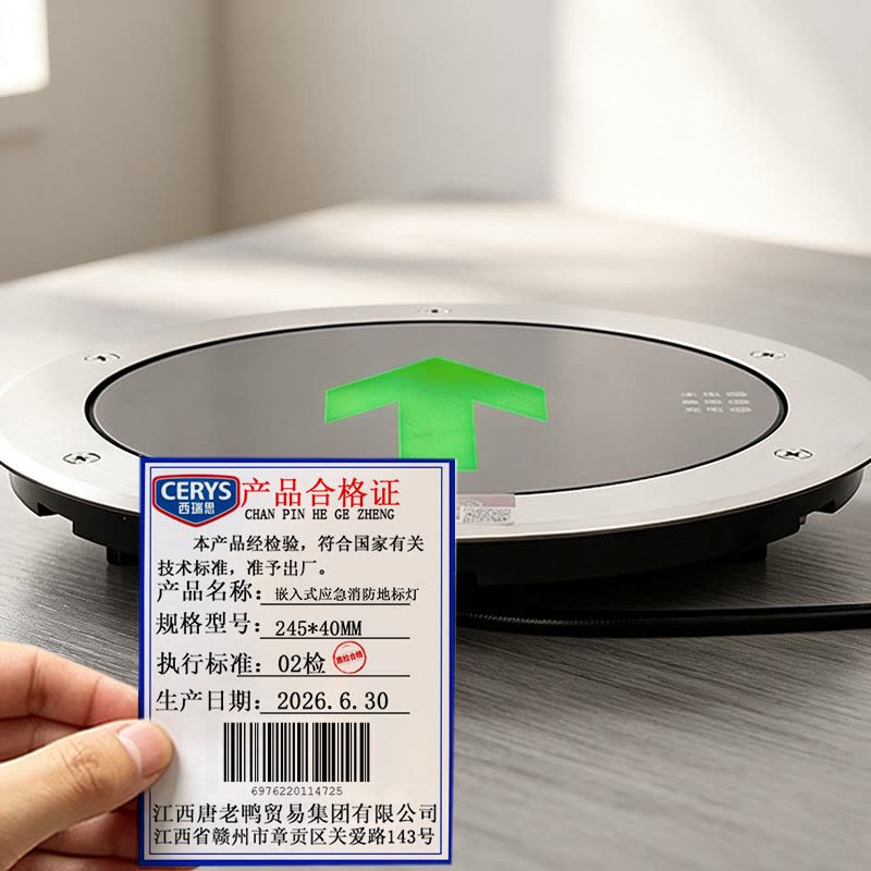 西瑞思 嵌入式应急消防地标灯 地埋灯 245*40MM 个图片
