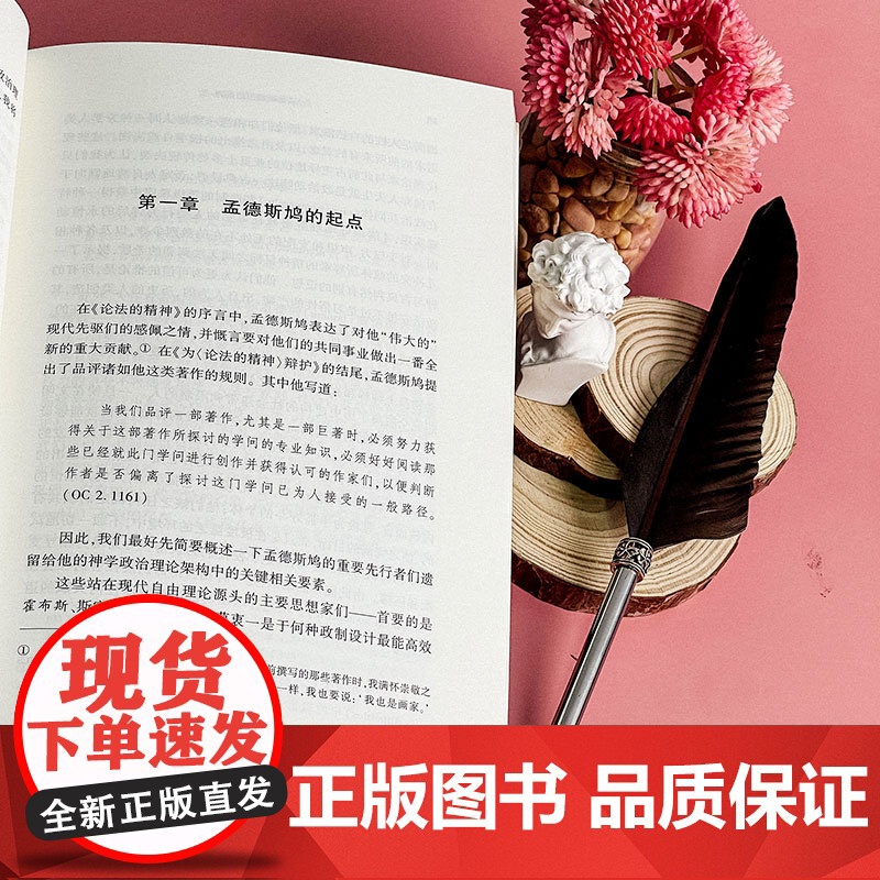 孟德斯鸠思想批判 潘戈 著 政治哲学研究 启蒙理性主义 华东师范大学出版社高清大图