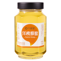 九蜂堂洋槐蜜750g