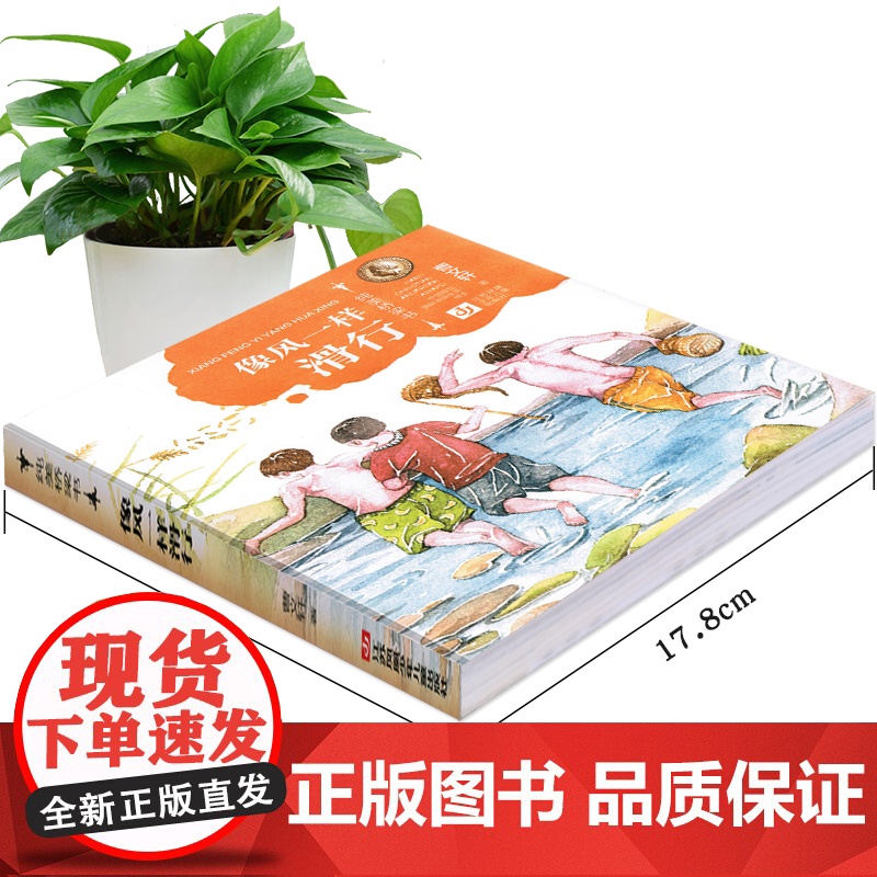 像风一样滑行/拼音+美绘/曹纯美桥梁书第一辑,从绘本到文字书的桥梁式阅读衔接,轻松获得进阶性阅读体验高清大图
