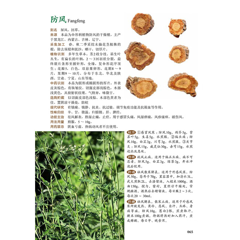 [醉染正版]图解中草药大全 中医入门中草药大全书籍药材植物彩图中药大全 中医养生保健大全中草药识别百科全书 本草纲目中草高清大图