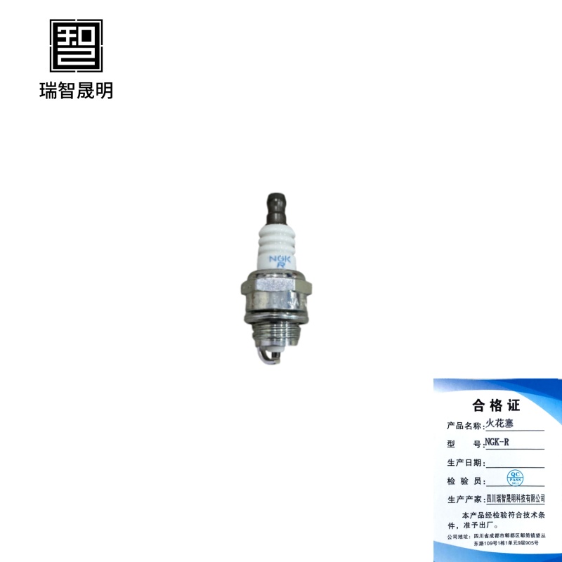 瑞智晟明(RZSM)火花塞NGK-R高清大图