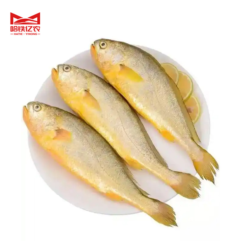 哈铁亿农 黄花鱼 500g/条高清大图
