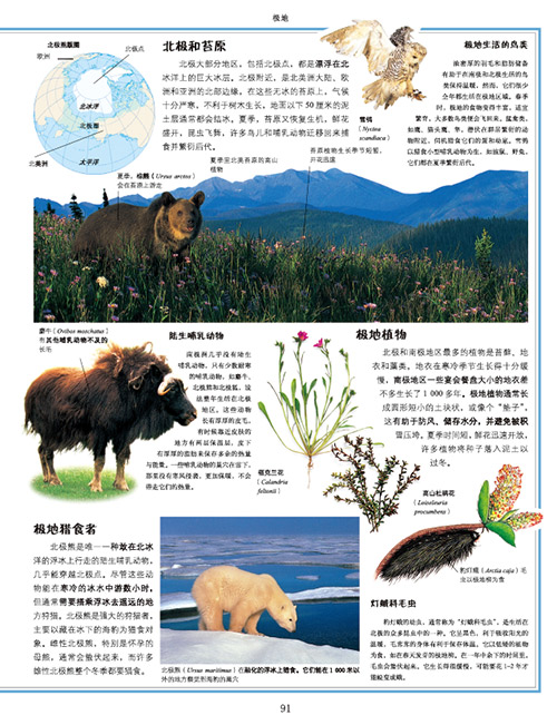 [正版]7-15岁DK 自然大百科 少儿自然图鉴百科全书幼儿动物植物科学知识书籍中小生学自然课外阅读 玩酷科普 书籍高清大图