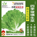 蔬菜种子四季播种阳台农家盆栽香菜菠菜生菜韭菜小葱草莓籽孑大四 均码 四季玻璃生菜约290粒