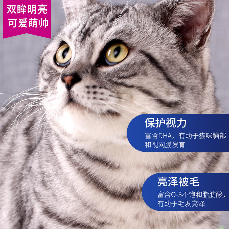 麦富迪猫主粮佰萃幼猫粮10kg英短蓝猫猫粮20斤