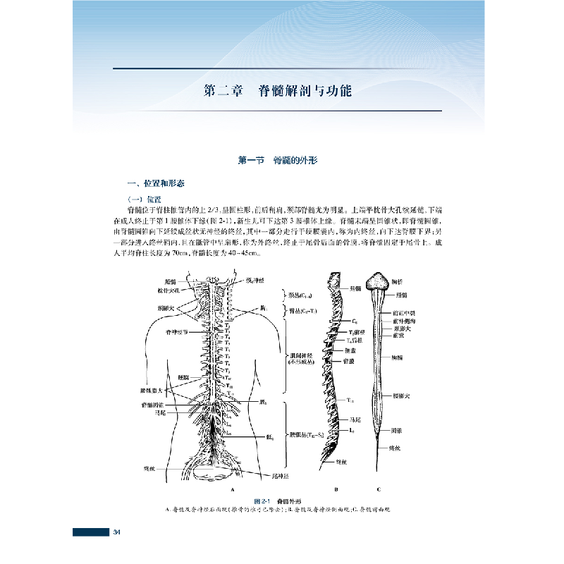 醉染图书实用瘫痪康复(第3版)9787117332415高清大图
