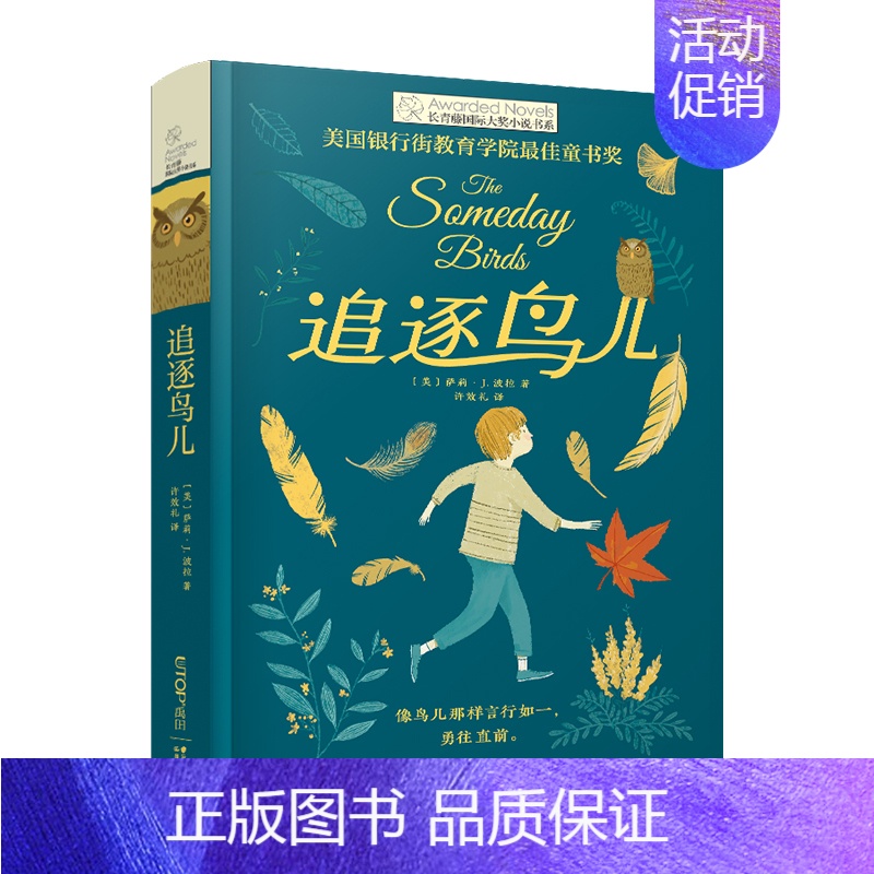 【单本】追逐鸟儿 【正版】我家没有英雄 约·维特克著 云南晨光出版社 长青藤国际小说系课外书阅读书目读物少儿儿童文学青少
