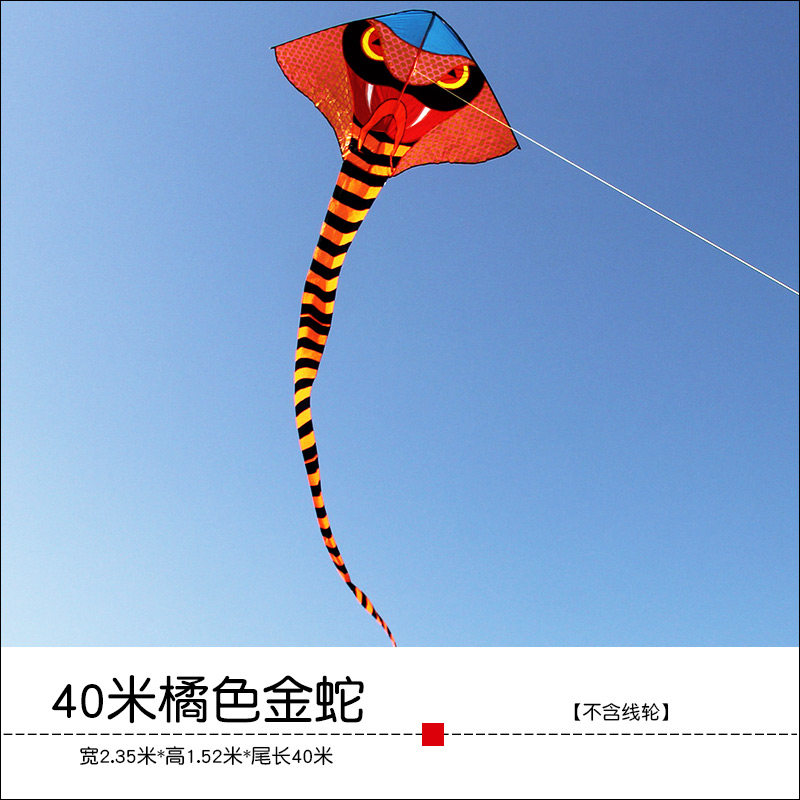 潍坊风筝2020新款长尾金蛇大蛇青蛇成型三角微风易飞T164创意 三维工匠 40米橘色金蛇[不含线轮]高清大图