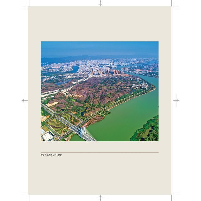 [正版]广东河源恐龙蛋化石群 上海科学技术出版社 河源市博物馆 编 生命科学/生物学