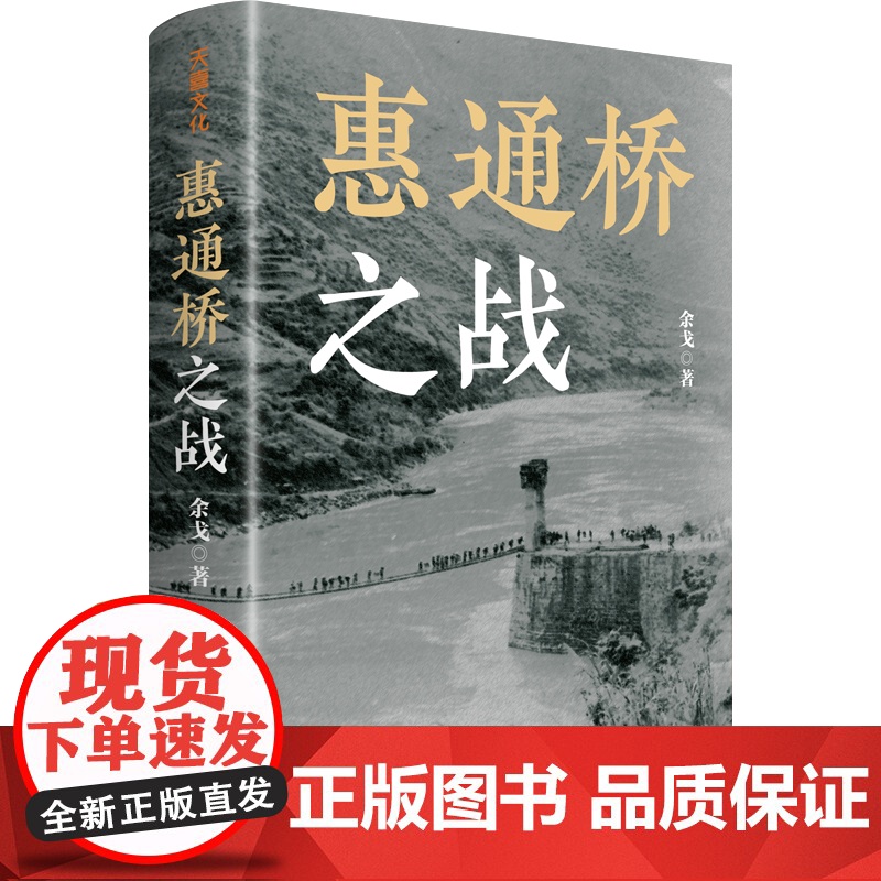 惠通桥之战(中国好书、中华优秀出版物奖、文津图书奖获得者余戈2024重磅作品) 这是中国远征军滇缅抗战片段 天地出版社高清大图