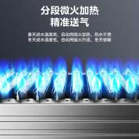 美的(Midea)一级低噪 舒适恒温 燃气壁挂炉 天然气供暖 采暖地暖 家用锅炉省气 下置风机L1GB24-R05