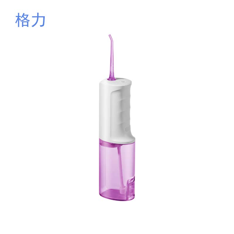 格力 电动冲牙器2 家用洗牙器美牙仪 牙齿清洁器 口腔护理 3档模式 专业微气泡喷嘴长续航 GSY-2001b