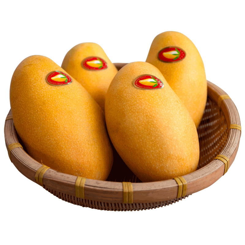 1000份起订高乐蜜芒果优质超大果9斤装单果350g起