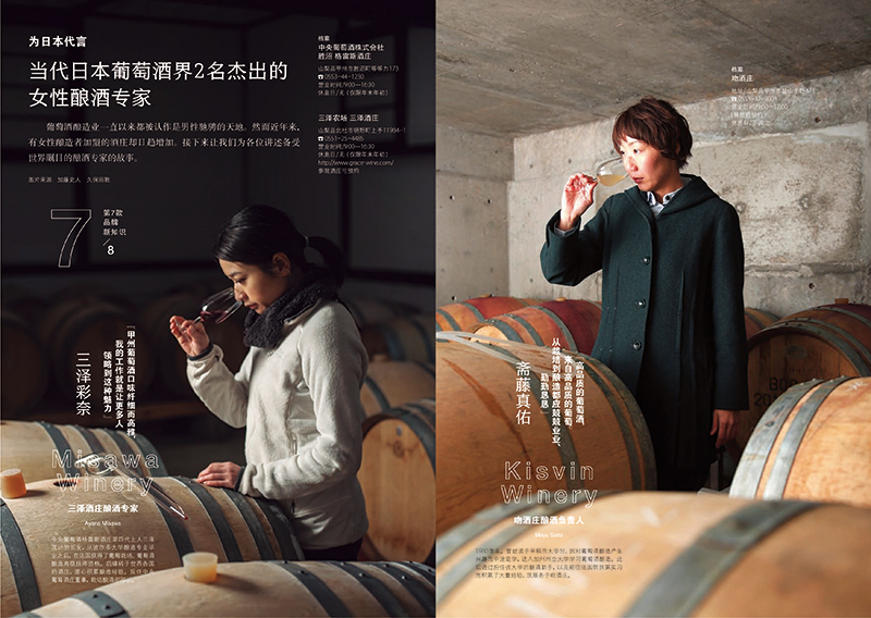 [正版]葡萄酒 饮食手账系列 一本教你喝懂葡萄酒 了解42个葡萄品种+20大产区+下酒菜+酒杯选择 葡萄酒基础知识科普高清大图