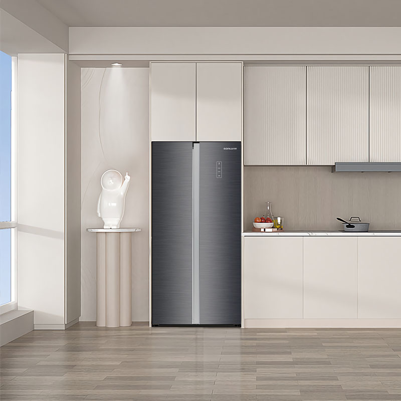 双鹿冰箱bcd600wsgvel玻璃对开门