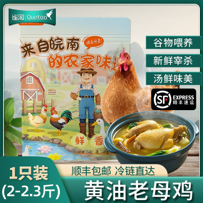 [苏鲜生推荐]雀淘 正宗皖南黄油老母鸡2-2.3斤/只 1只装 新鲜现杀整鸡净膛冷冻竹林慢养鸡走地鸡