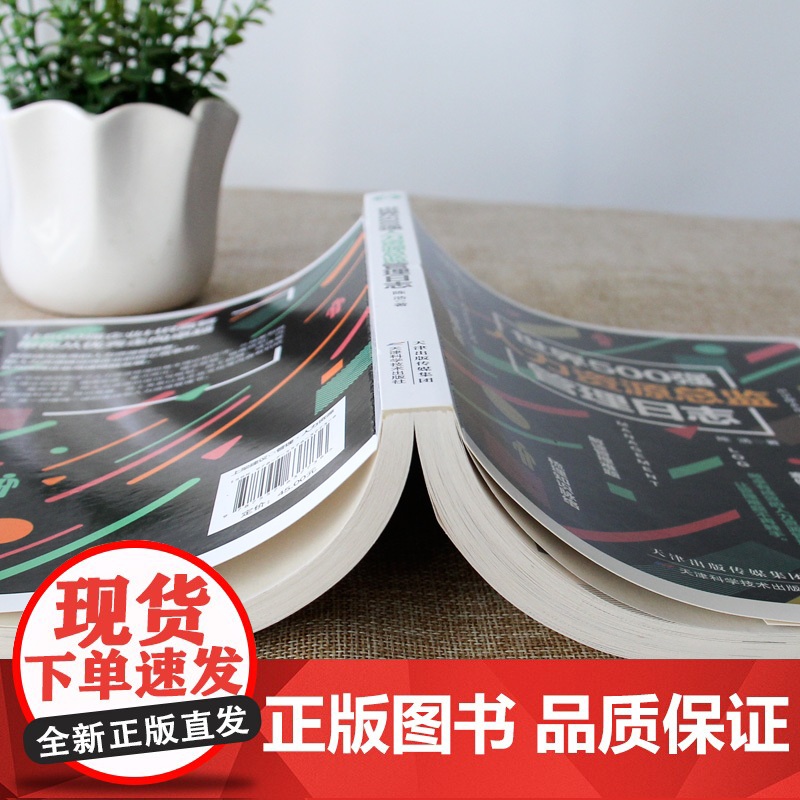 世界500强人力资源总监管理日志高清大图