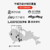 MOTI魔笛 D13套装 2019新款大烟雾多种口味换弹型 新手入门版 [1烟杆+3烟弹] 极光渐变