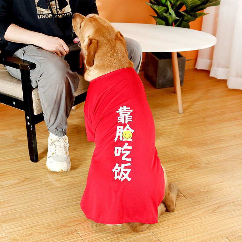 大狗狗衣服夏季薄款拉布拉多金毛阿拉斯加柴犬中型大型犬夏天背心 浅蓝色--充话费 L 胸围45 建议6--9斤