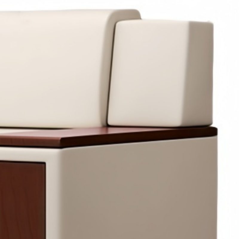 乐琪艺 会议沙发 单人位 张高清大图