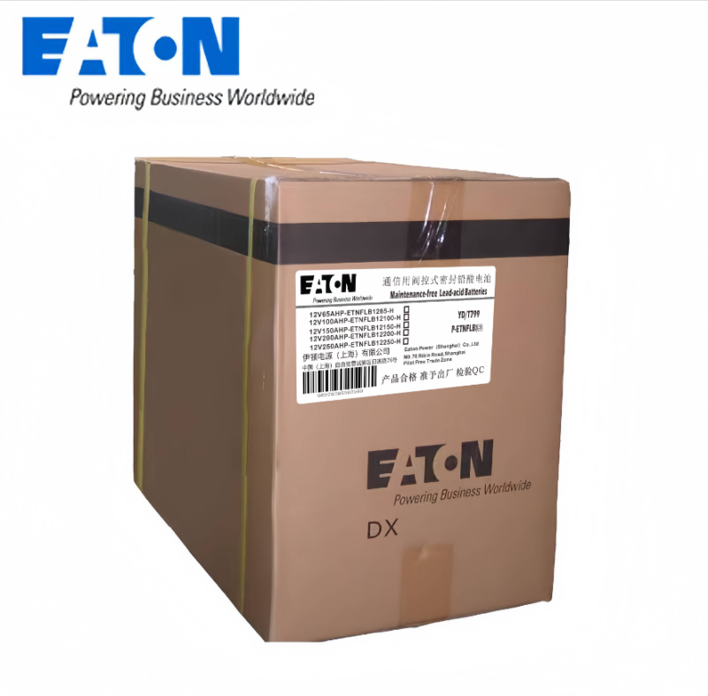 伊顿蓄电池P-ETNFLB12250-H高清大图